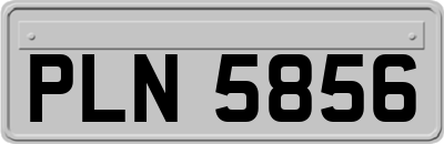 PLN5856