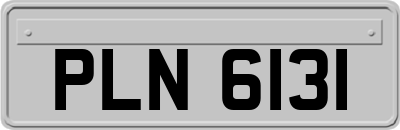 PLN6131