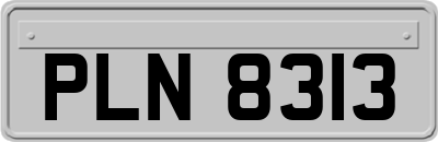 PLN8313