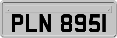 PLN8951