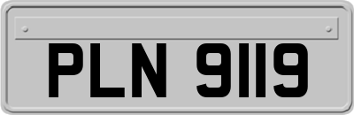 PLN9119