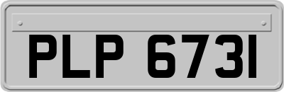 PLP6731