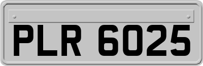 PLR6025