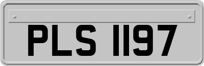 PLS1197