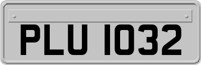 PLU1032