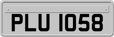 PLU1058