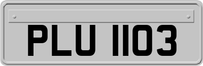 PLU1103