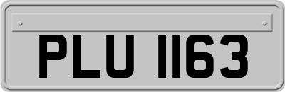 PLU1163