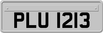 PLU1213