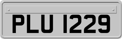 PLU1229