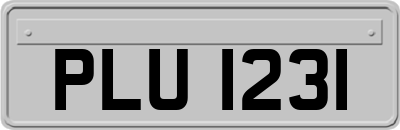PLU1231