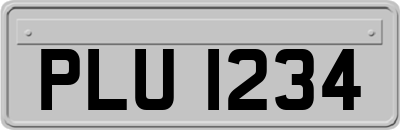 PLU1234