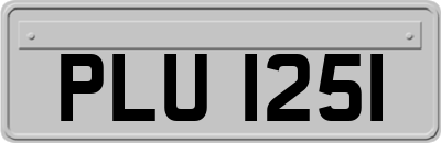 PLU1251