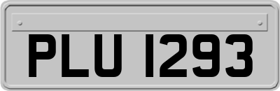 PLU1293