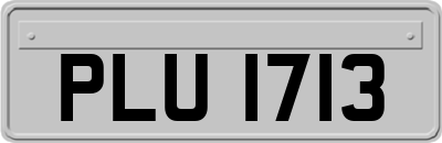 PLU1713