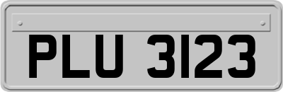 PLU3123