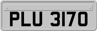 PLU3170