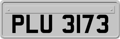 PLU3173