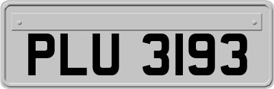 PLU3193