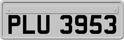 PLU3953