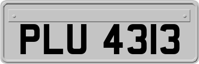 PLU4313