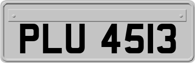 PLU4513