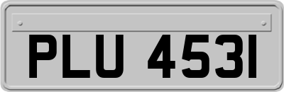 PLU4531