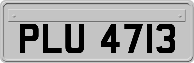 PLU4713