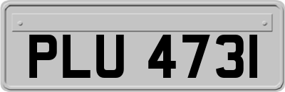 PLU4731