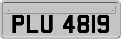 PLU4819