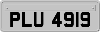 PLU4919