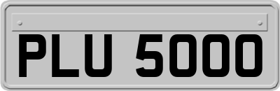 PLU5000