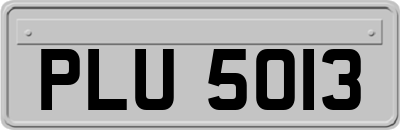 PLU5013