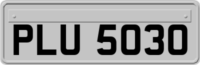 PLU5030