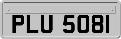 PLU5081