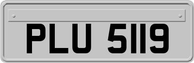 PLU5119