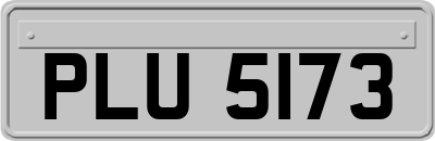 PLU5173