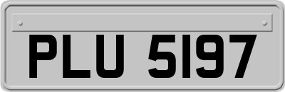 PLU5197