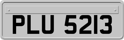 PLU5213