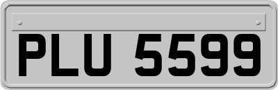 PLU5599