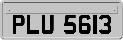 PLU5613