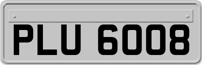 PLU6008