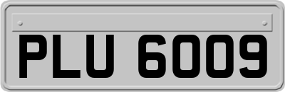 PLU6009