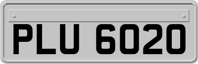 PLU6020