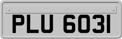 PLU6031