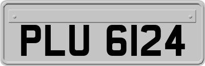 PLU6124