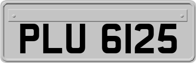 PLU6125