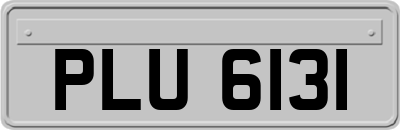 PLU6131