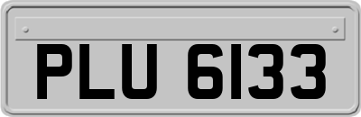 PLU6133