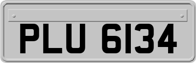 PLU6134